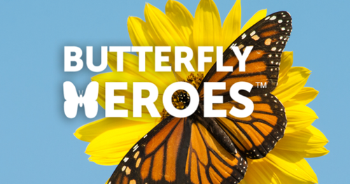Free Butterfly Hero Resource Kit